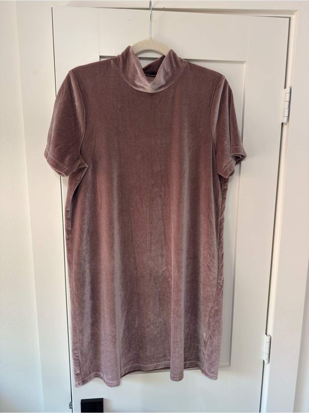 Short-Sleeve Velvet mockneck dress